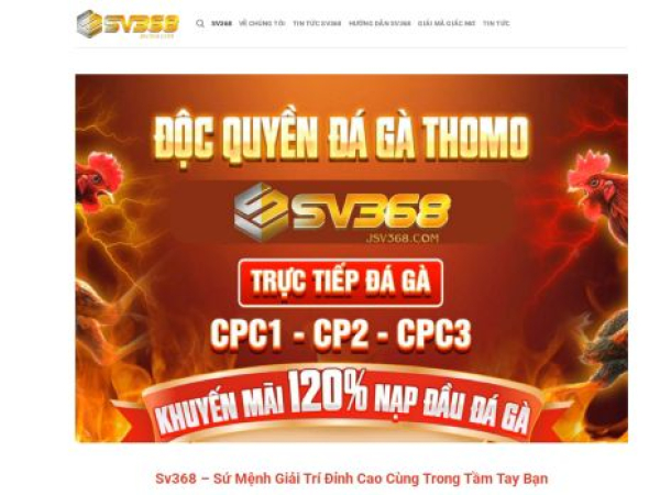 jsv368.com