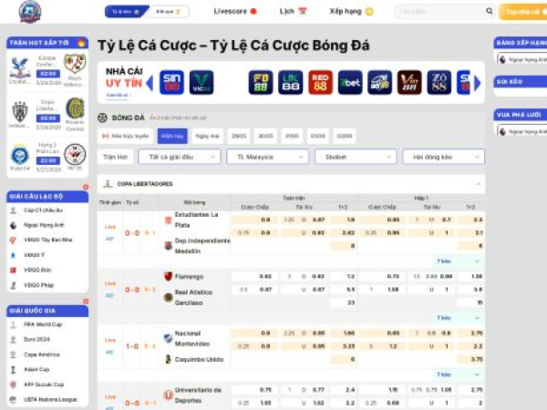 tylecacuocbongda.it.com